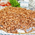 Cooked crevettes